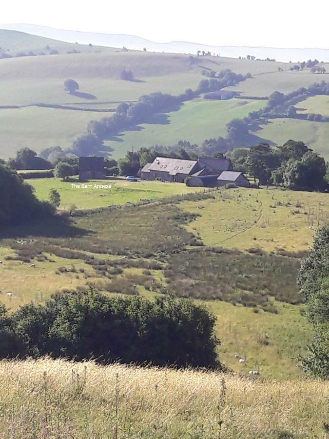The Barn Annexe, Cefn-Yr-Allt Crickadarn Exterior photo