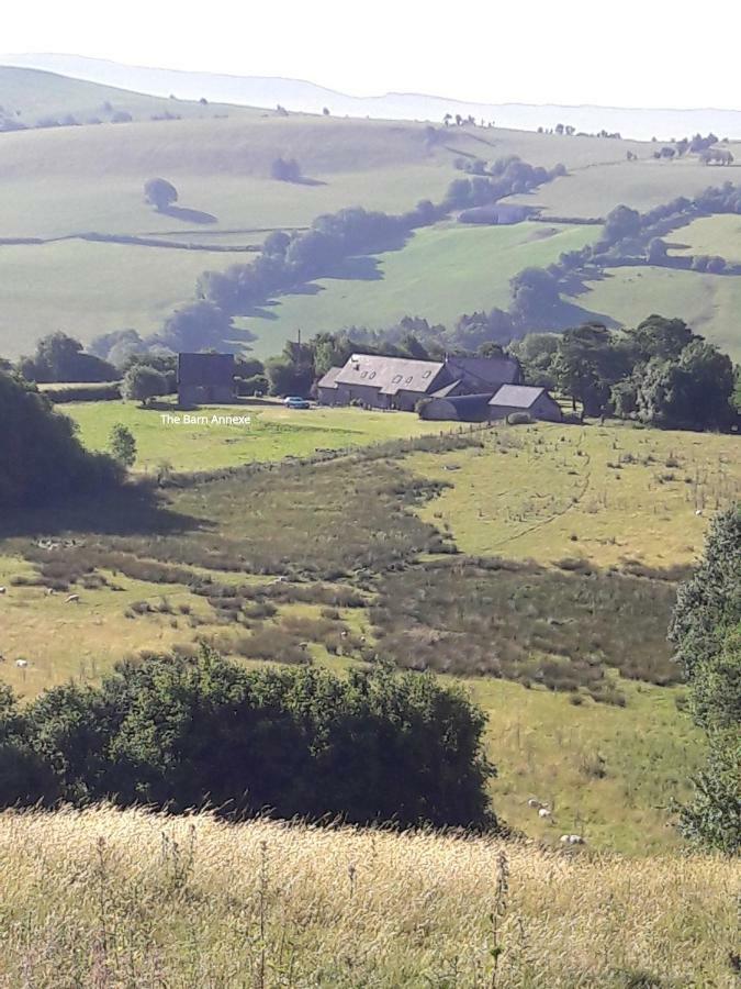 The Barn Annexe, Cefn-Yr-Allt Villa Crickadarn Exterior photo