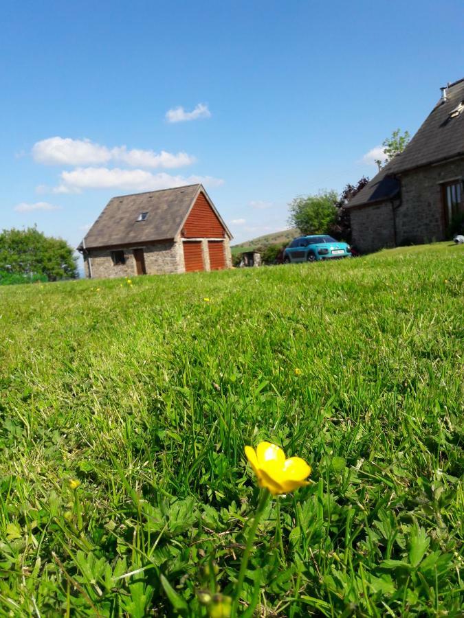 The Barn Annexe, Cefn-Yr-Allt Villa Crickadarn Exterior photo